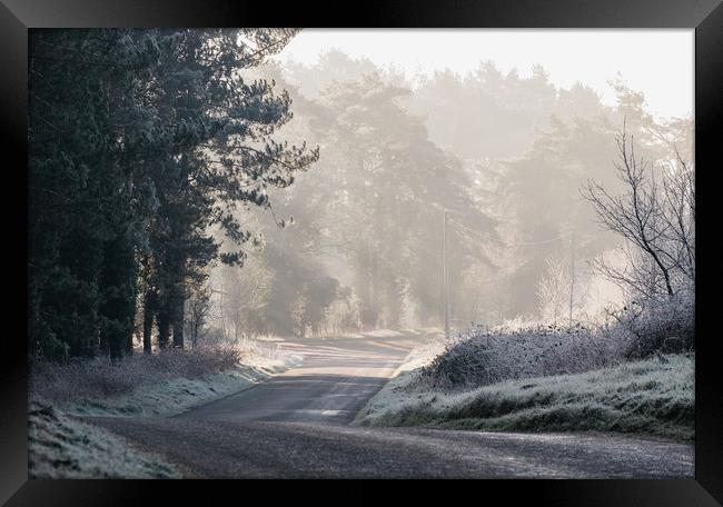 Rays of sunlight and frost along a remote country  Framed Print by Liam Grant