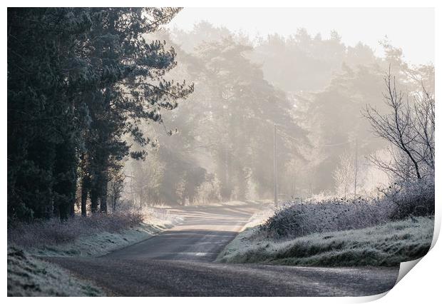 Rays of sunlight and frost along a remote country  Print by Liam Grant