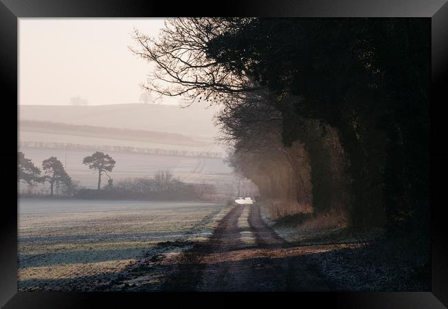 Rays of sunlight and frost along a remote country  Framed Print by Liam Grant