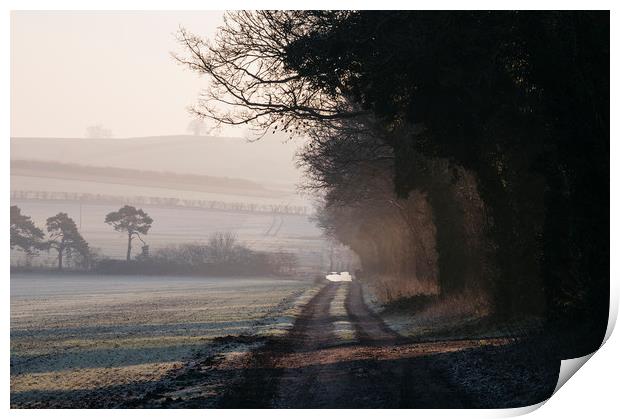 Rays of sunlight and frost along a remote country  Print by Liam Grant
