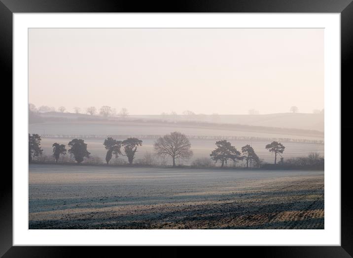 Trees and sunlight on a frost covered field at sun Framed Mounted Print by Liam Grant