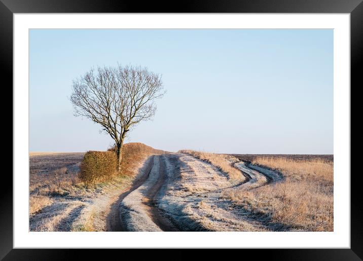 Tree, hedge and frost covered track beside a field Framed Mounted Print by Liam Grant