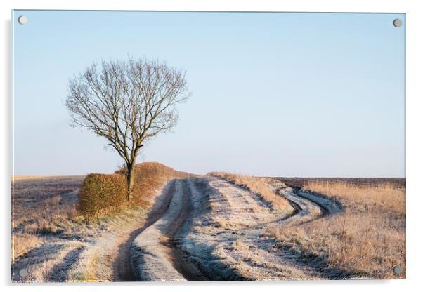 Tree, hedge and frost covered track beside a field Acrylic by Liam Grant