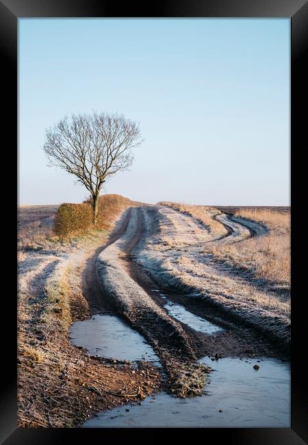 Tree, hedge and frost covered track beside a field Framed Print by Liam Grant