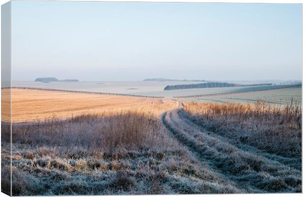 Frost covered track through fields at sunrise. Nor Canvas Print by Liam Grant