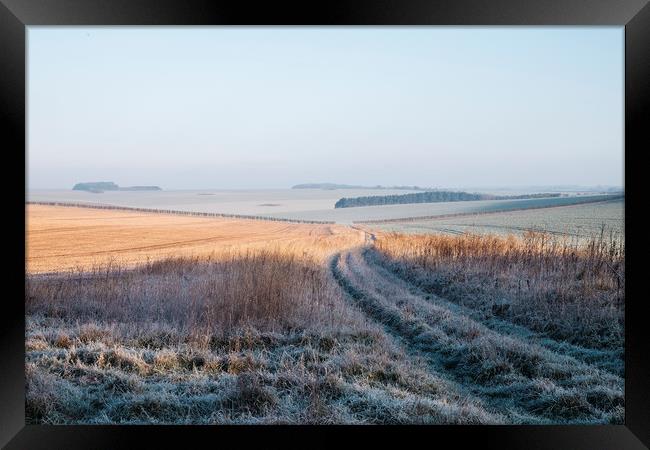 Frost covered track through fields at sunrise. Nor Framed Print by Liam Grant