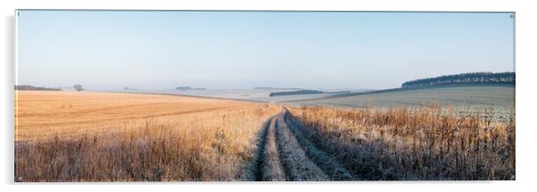 Frost covered track through fields at sunrise. Nor Acrylic by Liam Grant