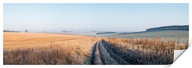 Frost covered track through fields at sunrise. Nor Print by Liam Grant