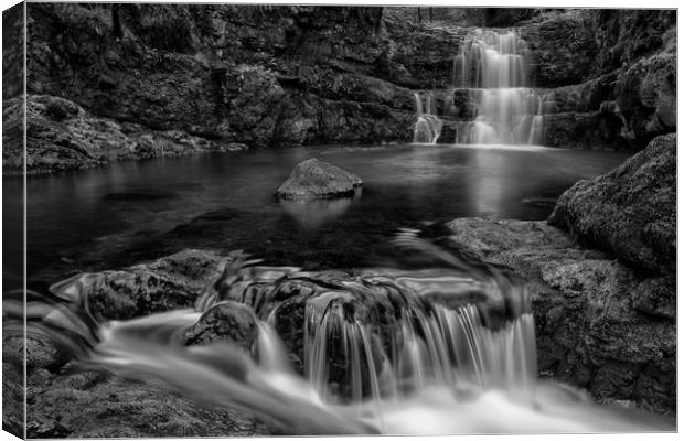The Flow at Pontneddfechan Mono Canvas Print by Eric Pearce AWPF