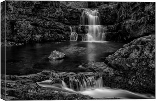 Dinas Rock Waterfalls, Mono Canvas Print by Eric Pearce AWPF