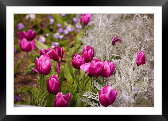 A Floral Dream Framed Mounted Print by Zahra Majid
