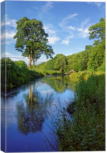 Shepherd  Wheel Dam                                Canvas Print by Darren Galpin