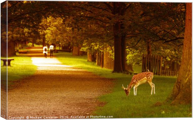 Walk in the park. Canvas Print by Michael Corcoran