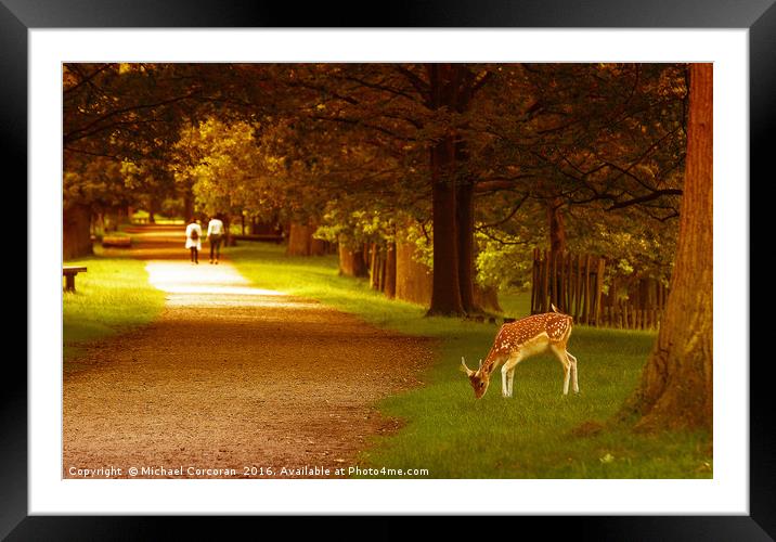 Walk in the park. Framed Mounted Print by Michael Corcoran