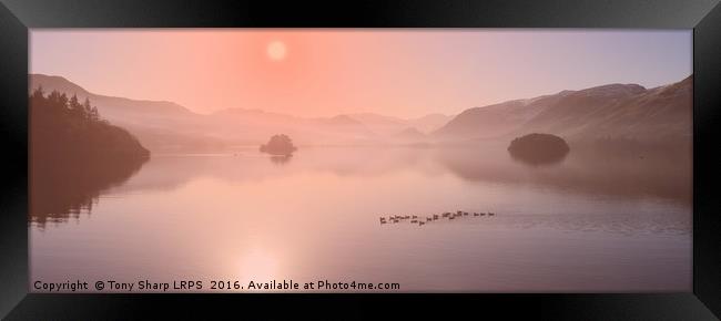 Rose Coloured Sunrise - Derwent Water Framed Print by Tony Sharp LRPS CPAGB