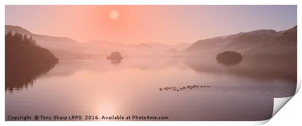 Rose Coloured Sunrise - Derwent Water Print by Tony Sharp LRPS CPAGB