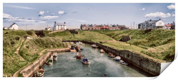 Seaton Sluice Harbour Print by Naylor's Photography
