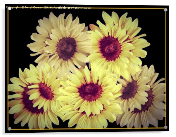 Radiant Summer Sunflowers Acrylic by Beryl Curran