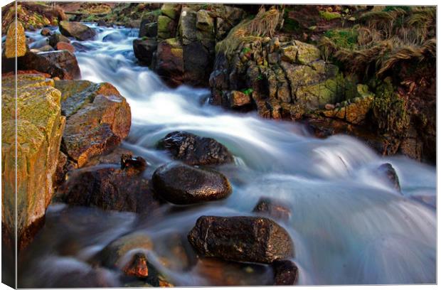 Cot Valley stream Canvas Print by Karl Butler