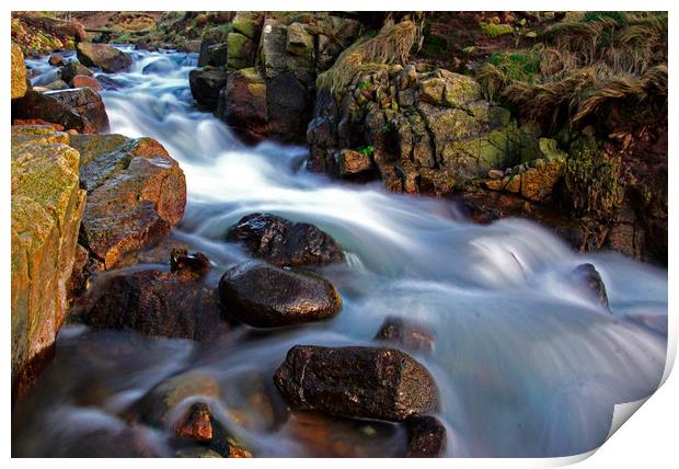 Cot Valley stream Print by Karl Butler