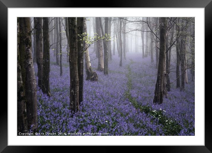 Bluebells in the Mist Framed Mounted Print by Kris Dutson