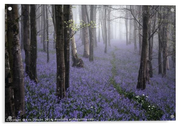Bluebells in the Mist Acrylic by Kris Dutson