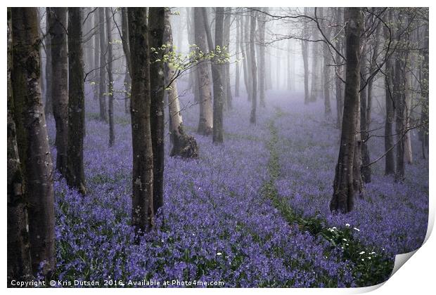 Bluebells in the Mist Print by Kris Dutson