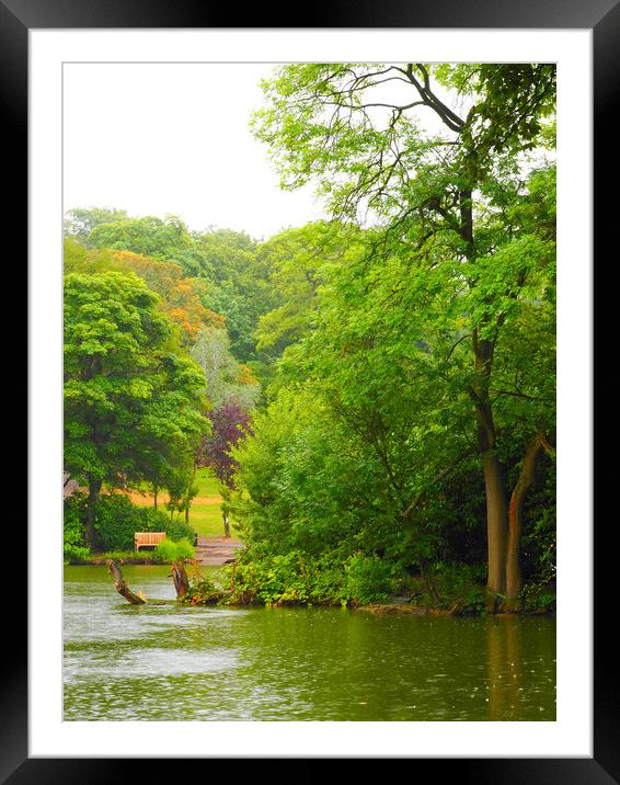 Park Framed Mounted Print by Victor Burnside