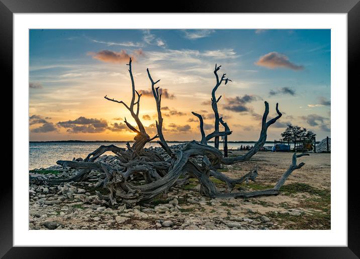 Bonaire Sunset Framed Mounted Print by Gail Johnson