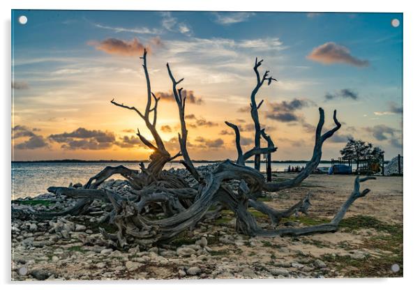 Bonaire Sunset Acrylic by Gail Johnson