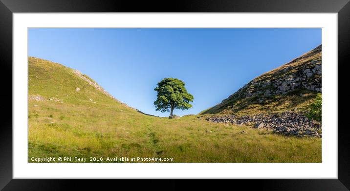 Sycamore Gap Framed Mounted Print by Phil Reay