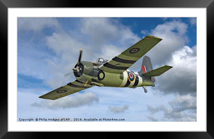 Grumman Wildcat F4F-4 ( Martlet ) Framed Mounted Print by Philip Hodges aFIAP ,