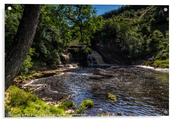 Crammel Linn waterfall Acrylic by Phil Reay