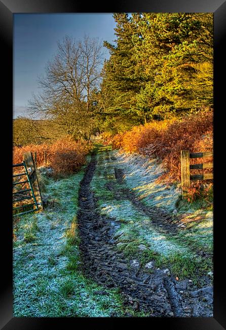 Frozen Tracks Framed Print by Eric Pearce AWPF