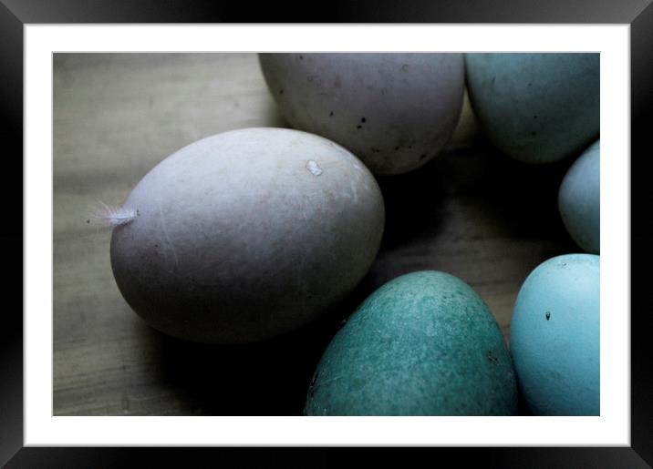 eggs  Framed Mounted Print by Jade Scott