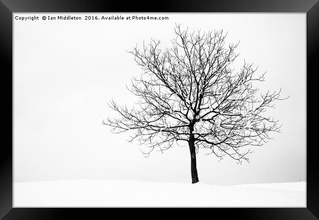 Winter Framed Print by Ian Middleton