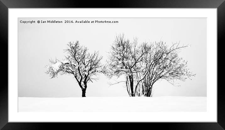 Winter Framed Mounted Print by Ian Middleton