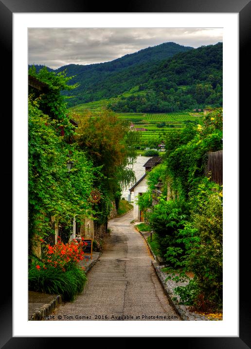 Path to the Danube Framed Mounted Print by Tom Gomez