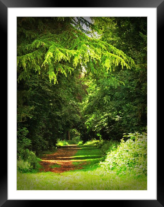 Woodland Path - Kingsweston, Bristol. Framed Mounted Print by Heather Goodwin