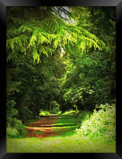 Woodland Path - Kingsweston, Bristol. Framed Print by Heather Goodwin