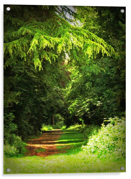 Woodland Path - Kingsweston, Bristol. Acrylic by Heather Goodwin
