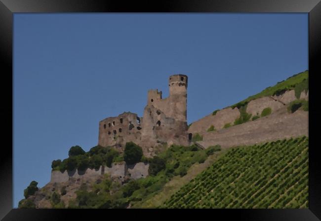 Rhine Castle And Vineyards Framed Print by Malcolm Snook
