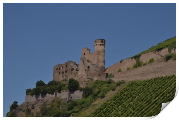 Rhine Castle And Vineyards Print by Malcolm Snook