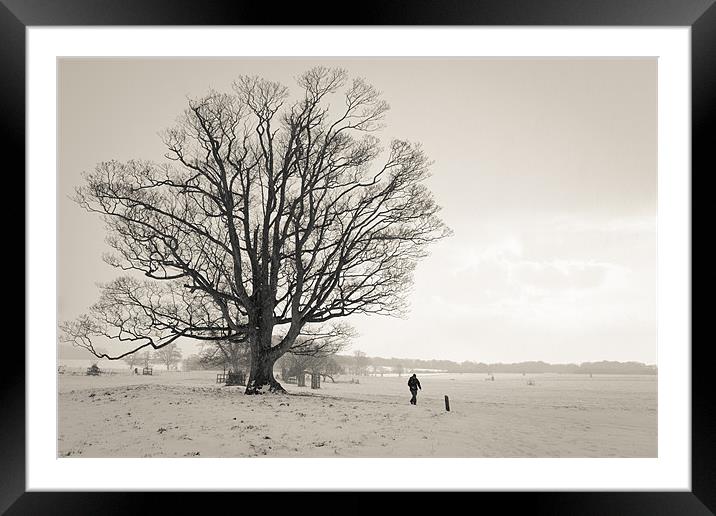 Whiteout Framed Mounted Print by Simon Wrigglesworth