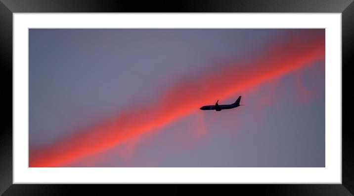Heat Seeker................. Framed Mounted Print by Naylor's Photography