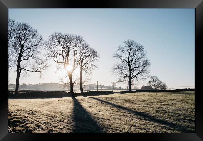 Sunrise behind trees on a frosty morning. Derbyshi Framed Print by Liam Grant