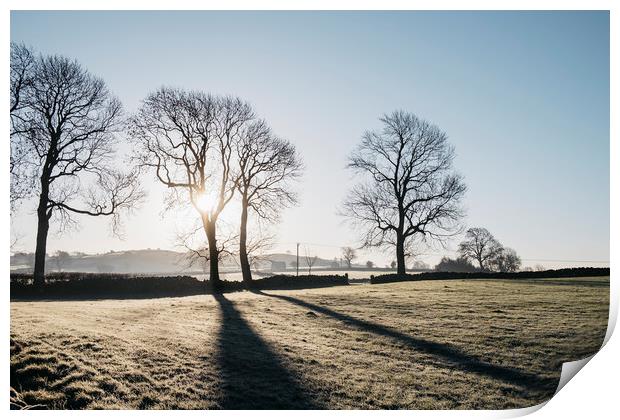Sunrise behind trees on a frosty morning. Derbyshi Print by Liam Grant