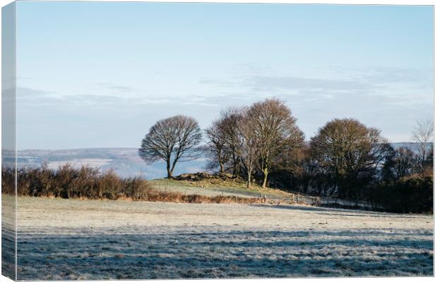 Trees and frost covered field in morning light. De Canvas Print by Liam Grant