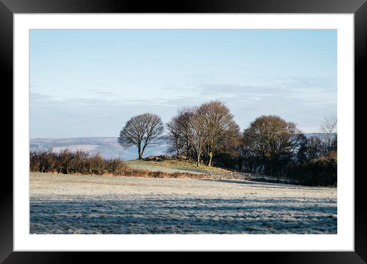 Trees and frost covered field in morning light. De Framed Mounted Print by Liam Grant