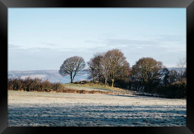 Trees and frost covered field in morning light. De Framed Print by Liam Grant